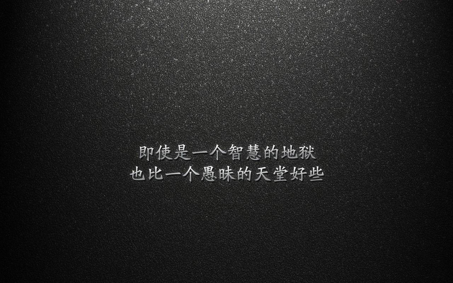 Chinese Taipei在2024年乒乓世界杯赛场上的精彩瞬间，2024世界乒乓球锦标赛