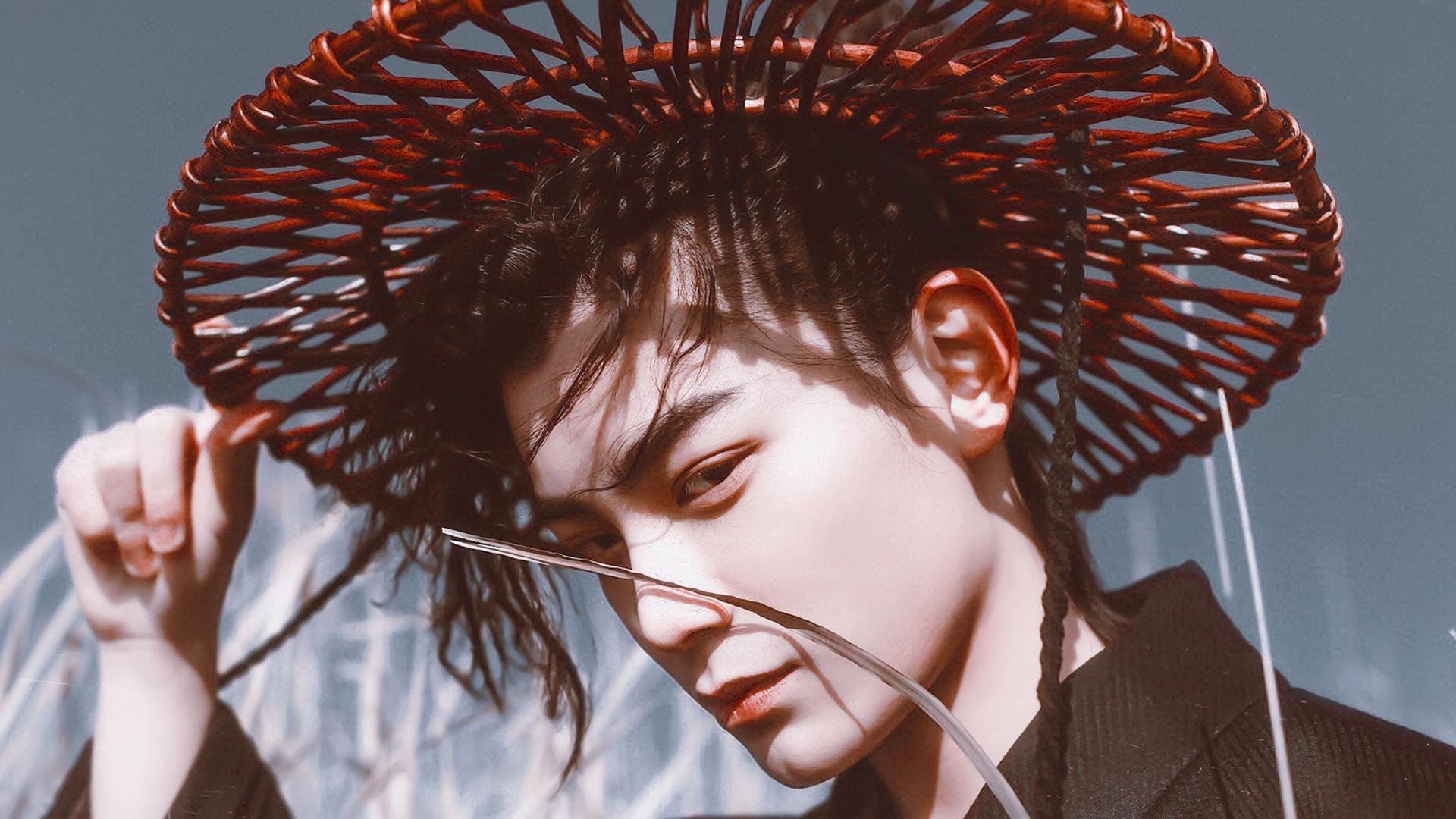 张雨霏分段游速全场最快，张雨霏的比赛