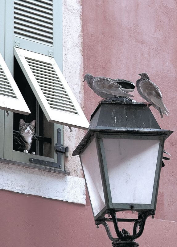 伯科夫50米仰泳决赛表现令人期待，伯科夫50米仰泳决赛表现令人期待吗