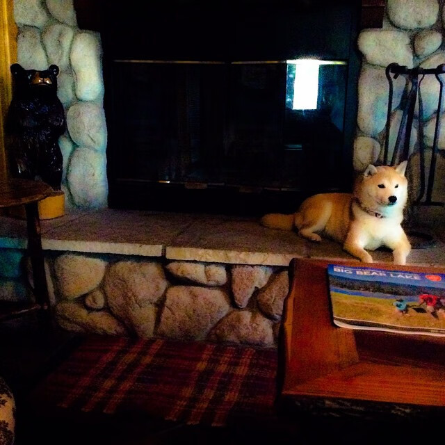 体育新闻中心联赛形势观察，体育新闻赛后总结