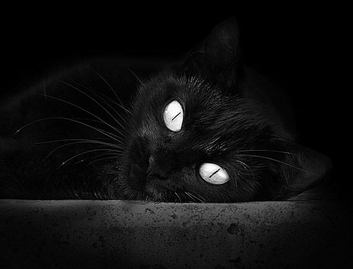 凯尔特人主力轮休安排受到媒体密切关注,凯尔特人21个首轮