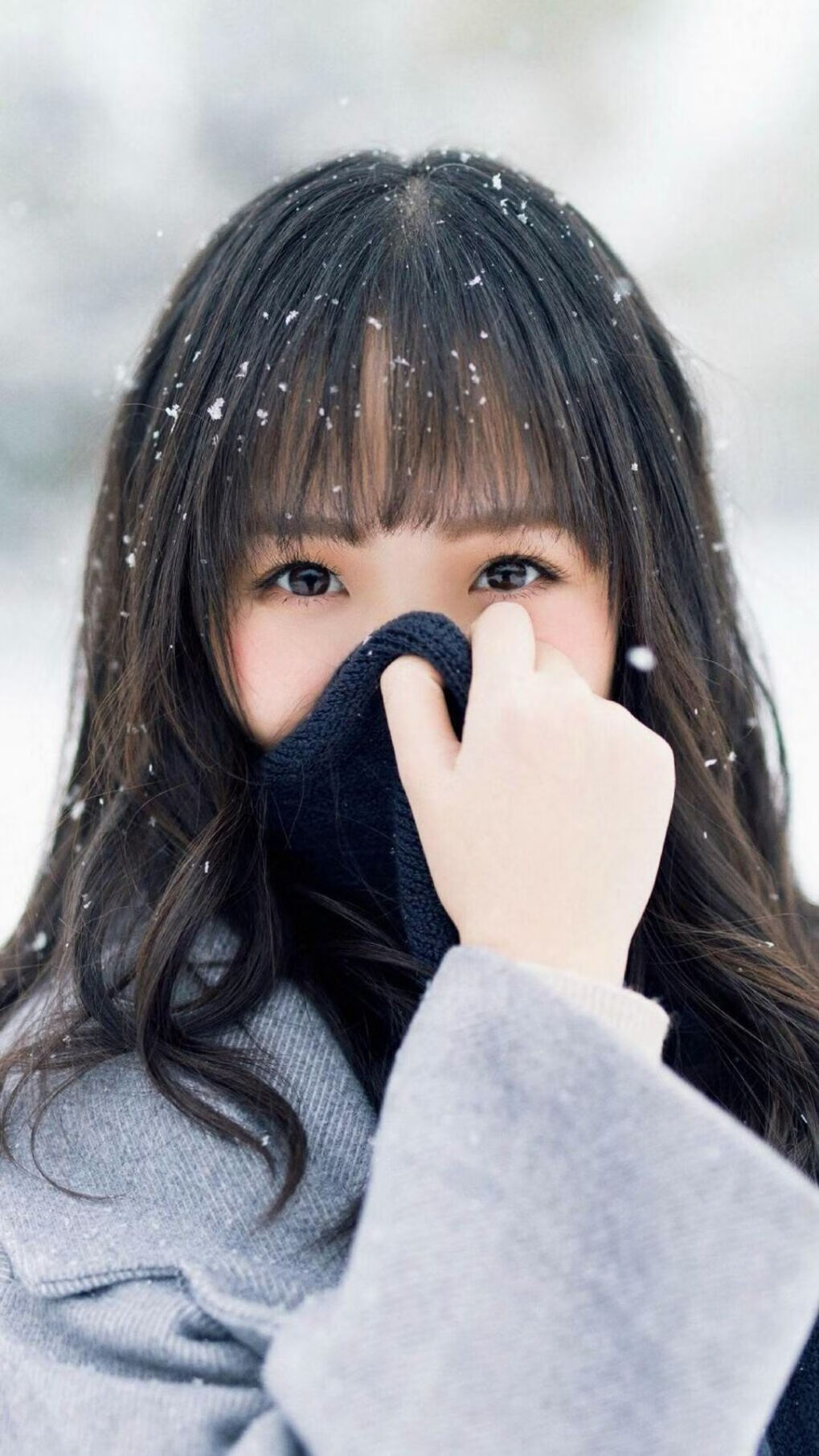 国王训练日程公开媒体争相报道，国王运动