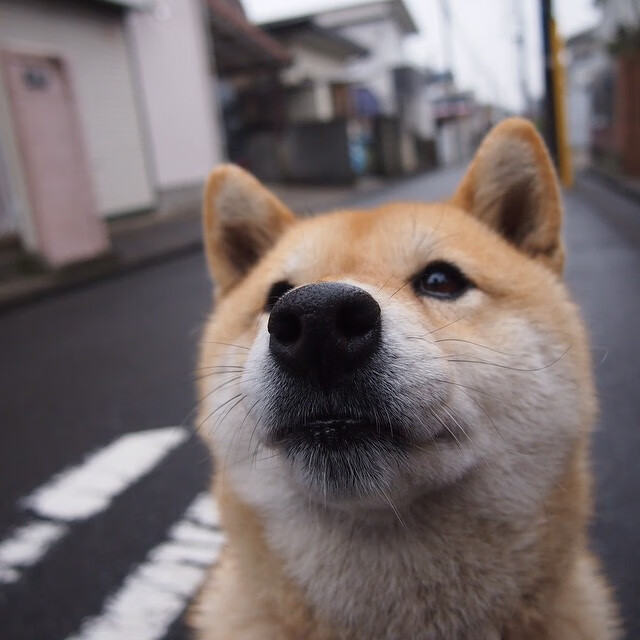 奥卡拉汉稳扎稳打锁定决赛席位，拉奥 卡奥
