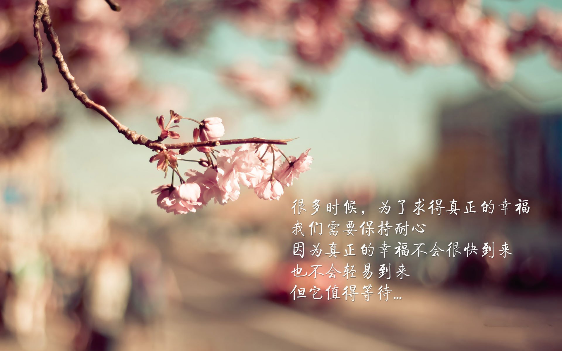 九游娱乐登录-女子橄榄球迈向职业化新时代，女子橄榄球队