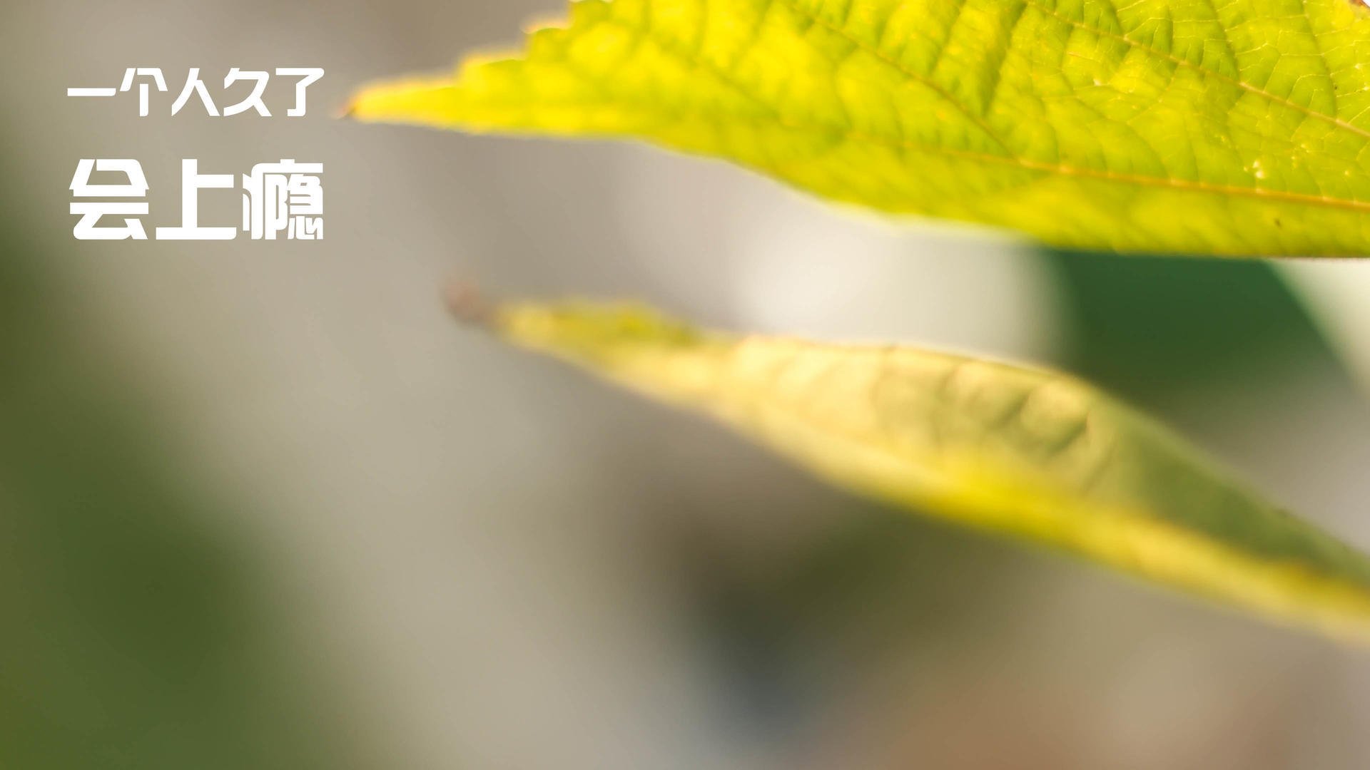 女篮世界杯备战进入冲刺阶段全队状态逐步回暖，女篮球世界杯